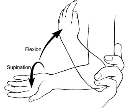 supination flexion maneuver