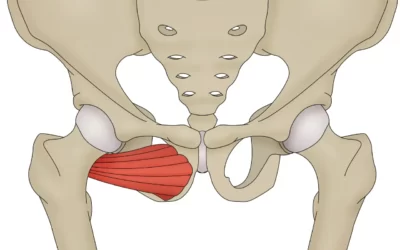 What is Recovery Time for Pelvic Stress Fracture?