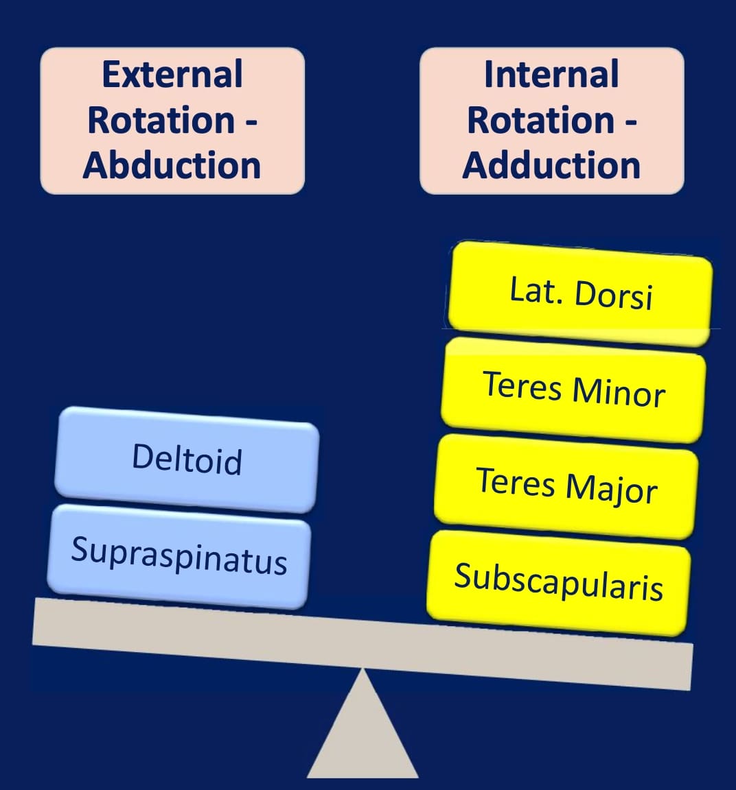 In partially recovered Brachial Plexus Birth Palsy